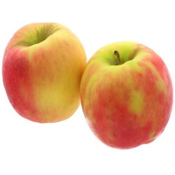 BIO POMME PINK ROSE LOT A KG
